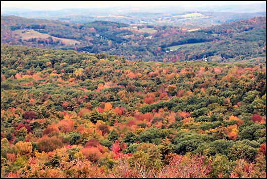 10/1/2009 photo by Bill Starr