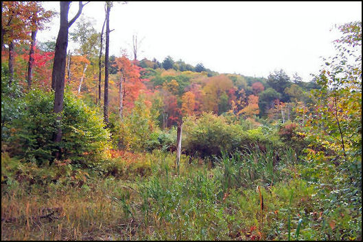 10/1/2009 photo by Bill Starr