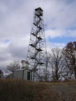TNLandForms.us Photo