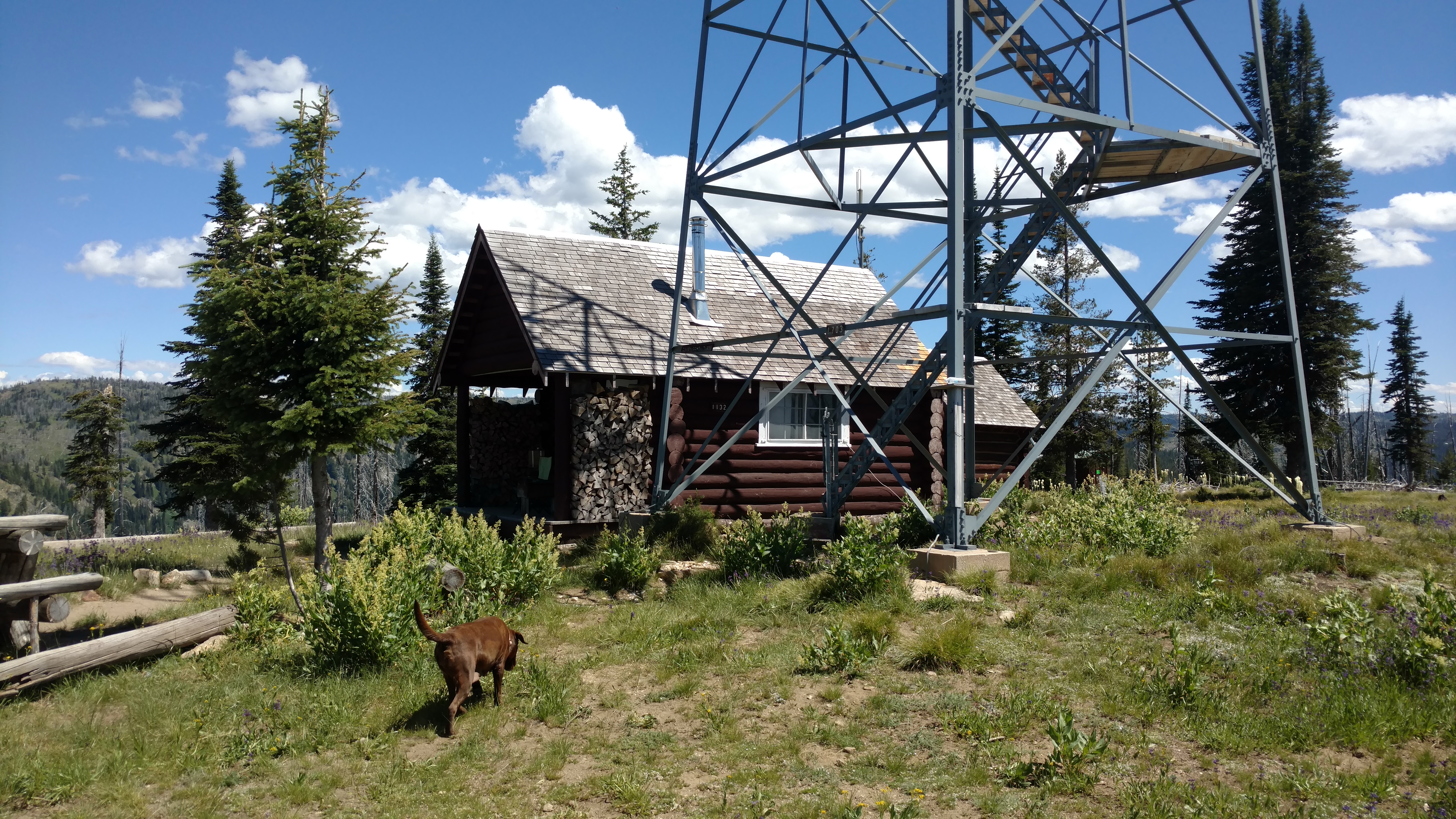 July 2017 photo