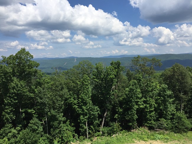 July 2018 view from tower