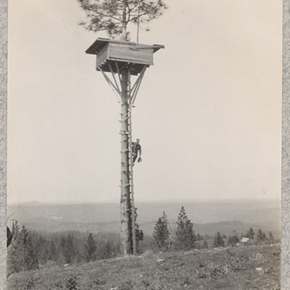 Mount Zion Lookout National Historic Lookout Register