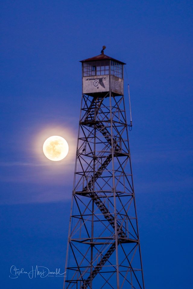 Sacramento National Wildlife Refuge (I-5) Lookout - 2018